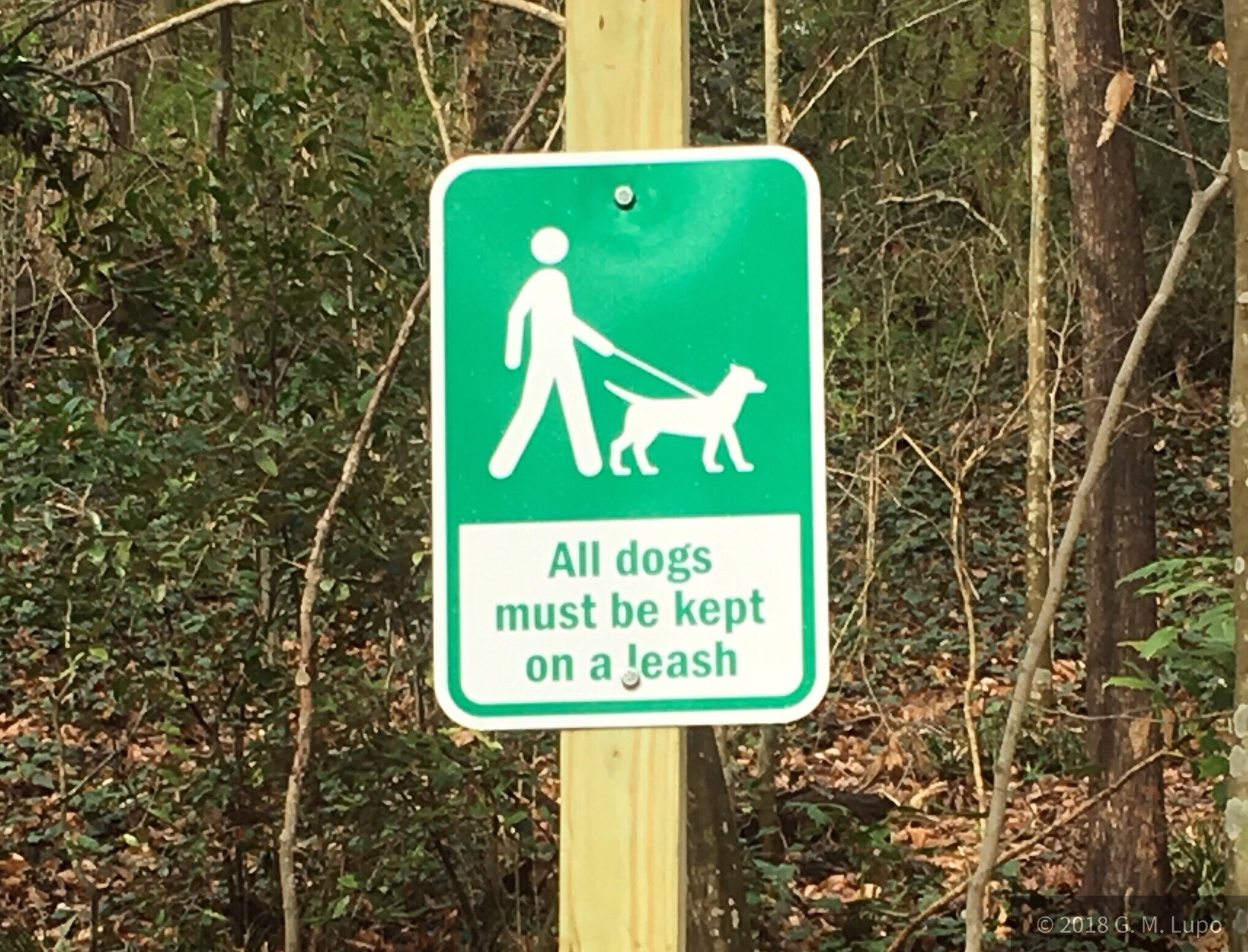 Raised by Wolves Musings of a writer. Leash Laws