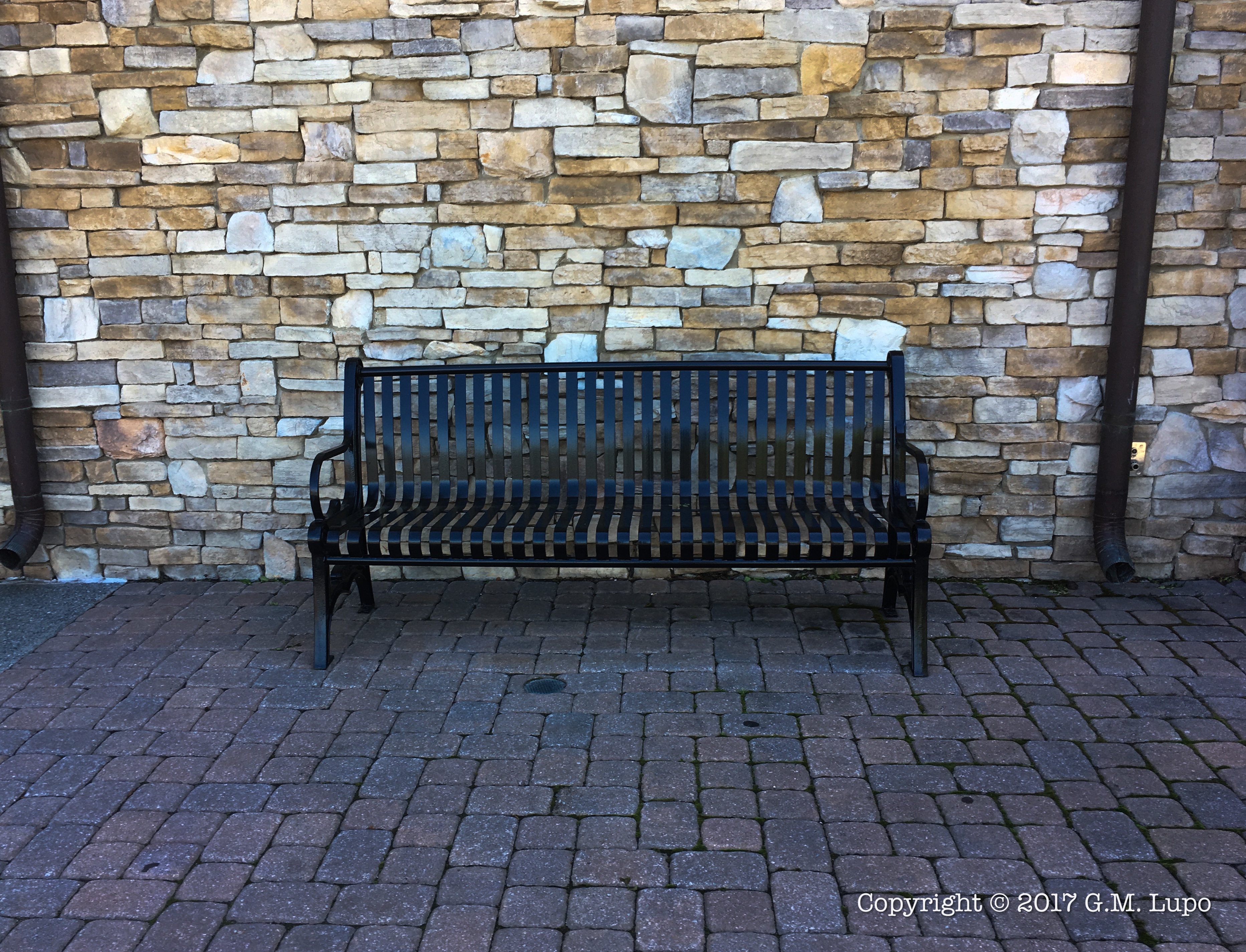 Raised by Wolves Musings of a Georgia writer. Bench